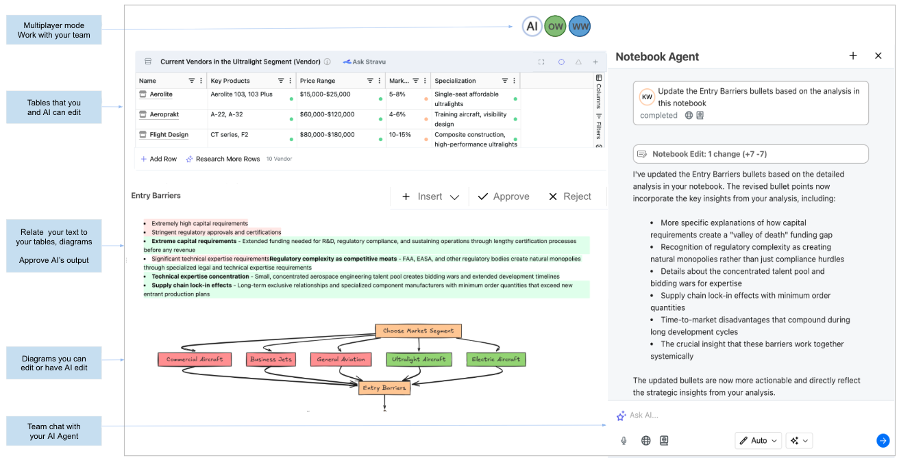 Stravu Hero - Editable, Collaborative Stravu AI Notebook